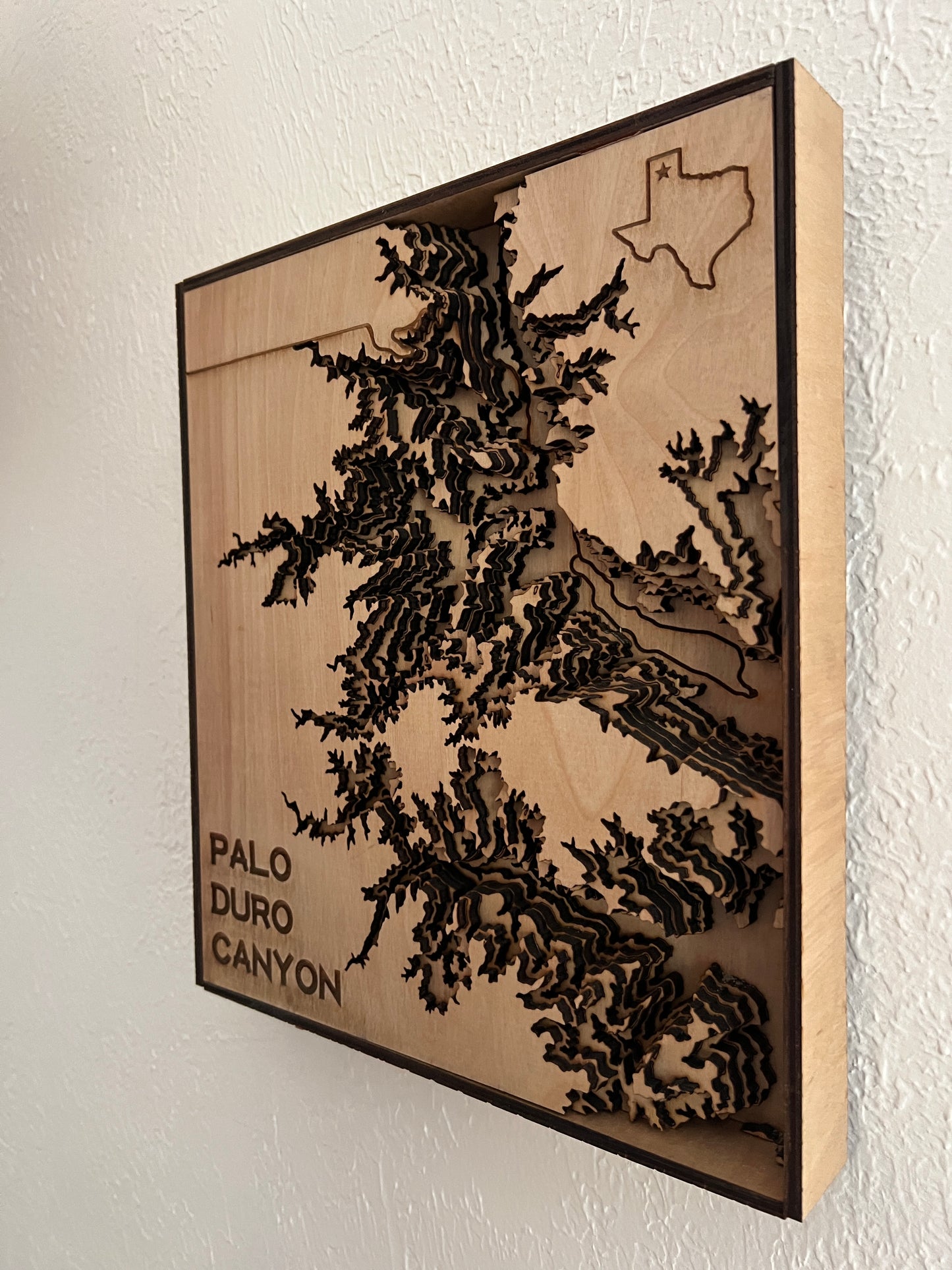 PDC Laser Topography Map