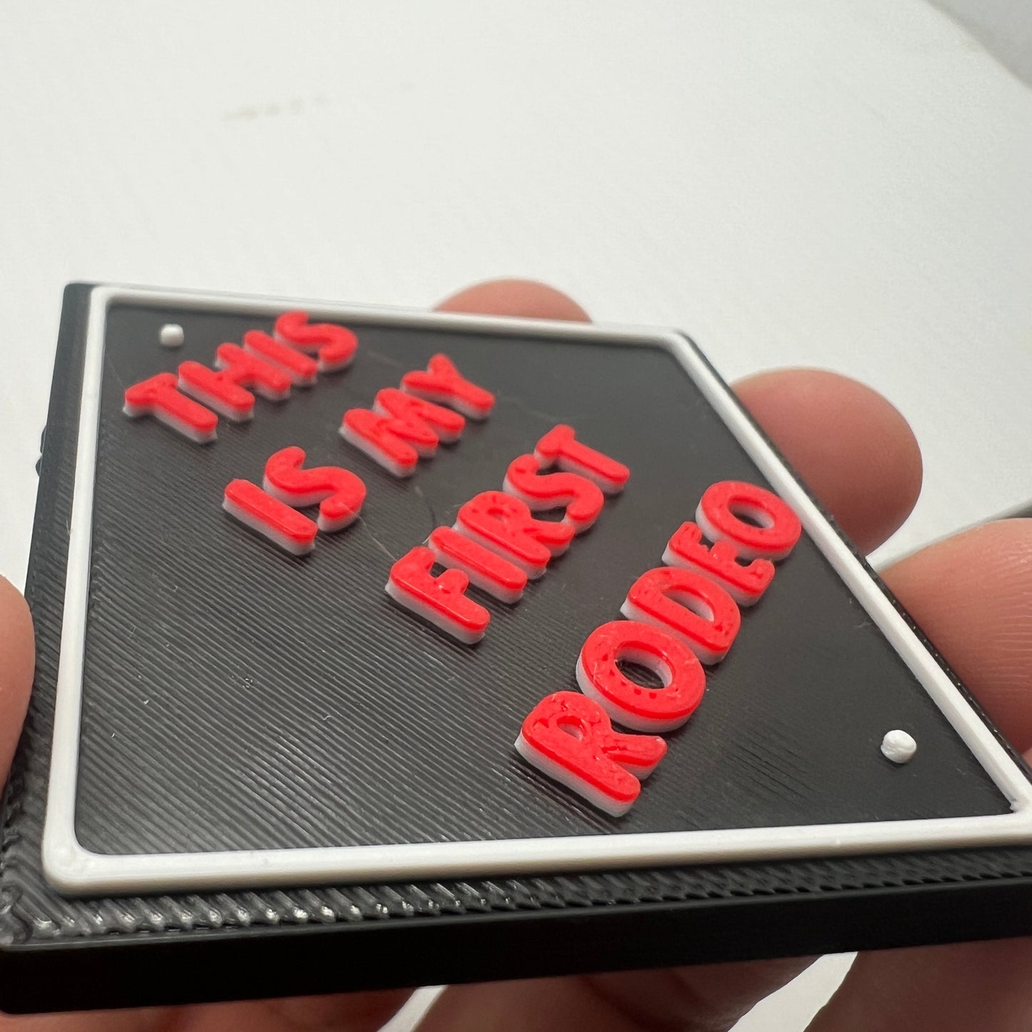 This Is My First Rodeo Magnet